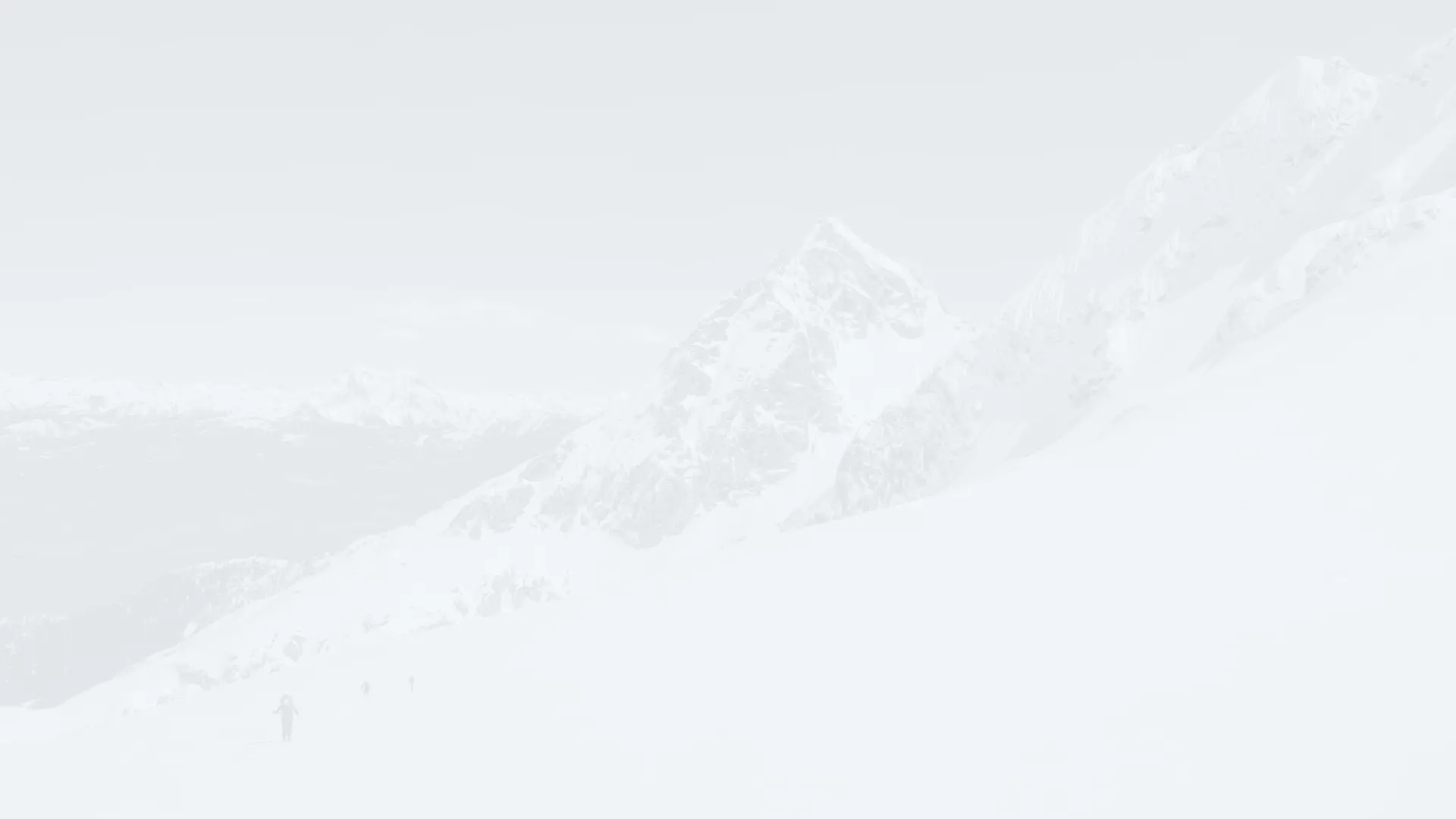 加入我们